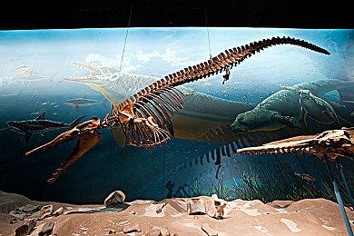 《消逝的光芒：困兽》拥有系列迄今最为多样化的世界