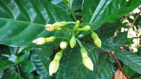 《密室逃脱模拟器》x《传送门》DLC正式公布