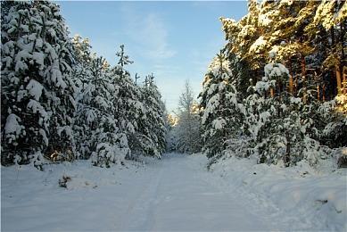 《超级猴子球》全新预告 Hello Kitty作为角色参战