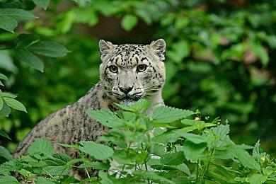 《地平线：零之曙光》电影将于2026年开始拍摄